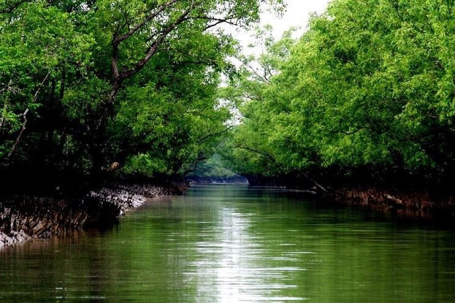 The Sundarbans: A World of Wonders