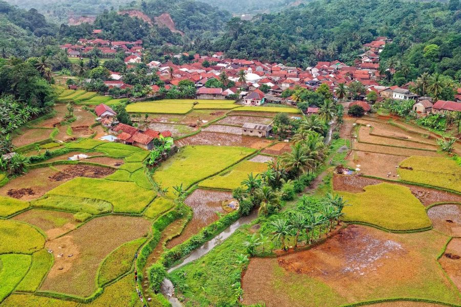 Reconnect with Nature: A Day of Village Life Near Bangalore