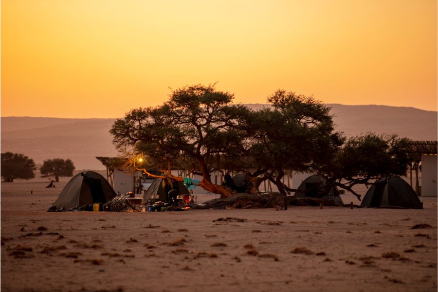 Royal Rajasthan Explorer | Desert Camp & Heritage Wonders