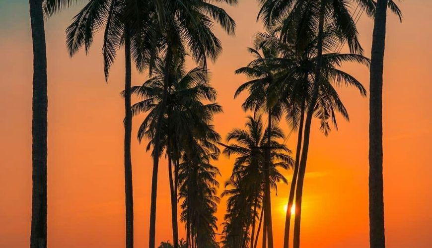 Goa Trip Cost for 3 Days