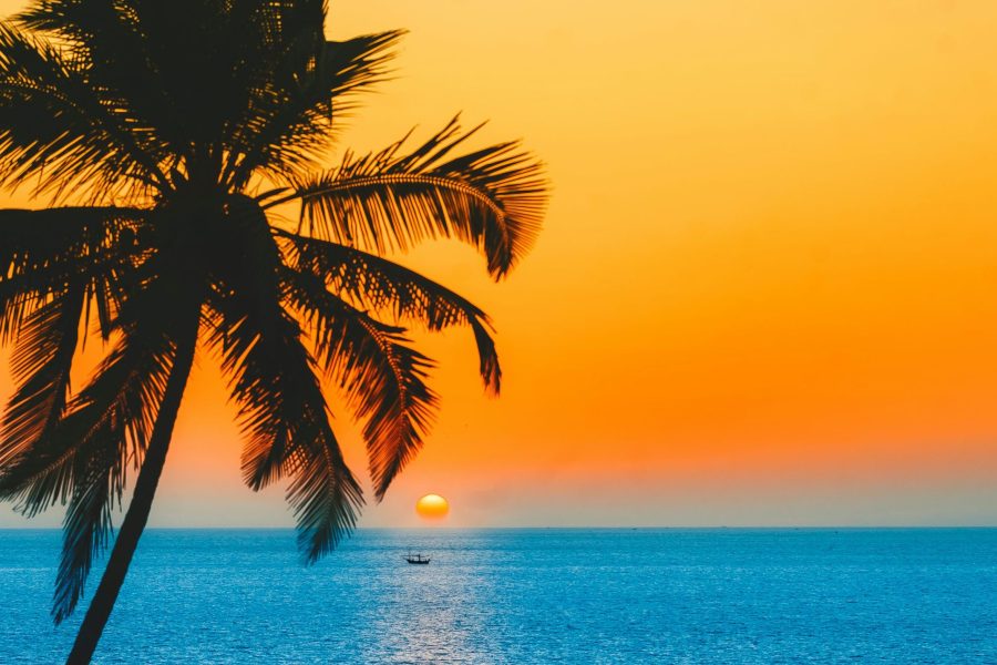 Goa Experiential Staycation with 15 Strangers