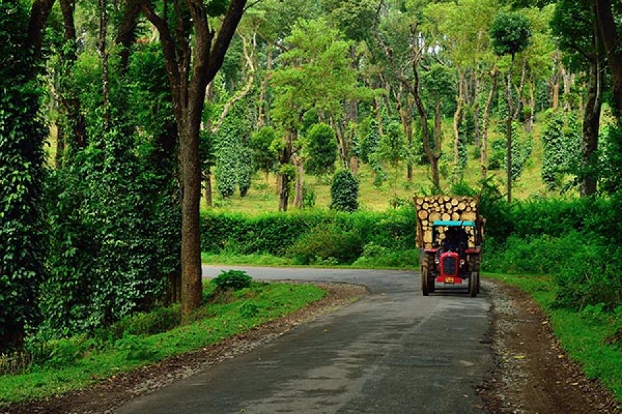 2 Days in Coorg – Beyond the Tourist Trail