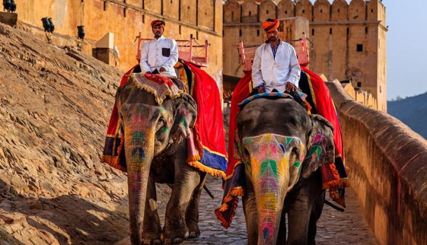 Rajasthan Package from Mumbai – Curated, Social, and Experience-Driven Travel by Travel Trip Tourist