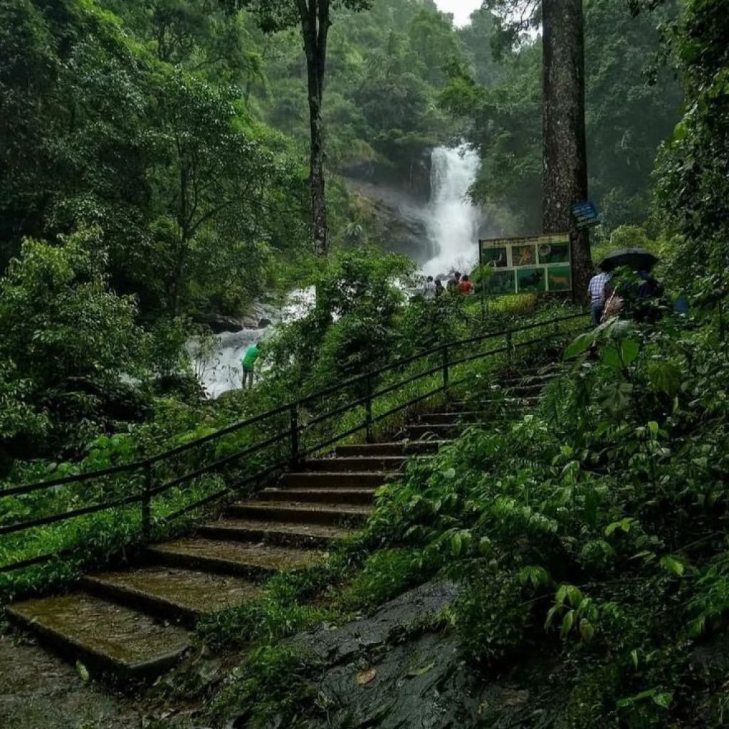 About Iruppu Falls in Coorg 🌿_ IBNI Springs Madikeri Coorg