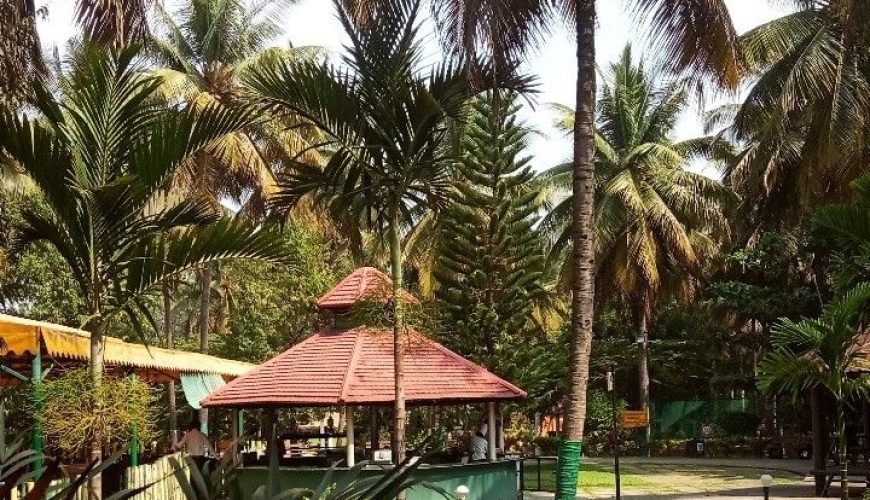 19 Best Resorts Near Bangalore for Weekend Getaways