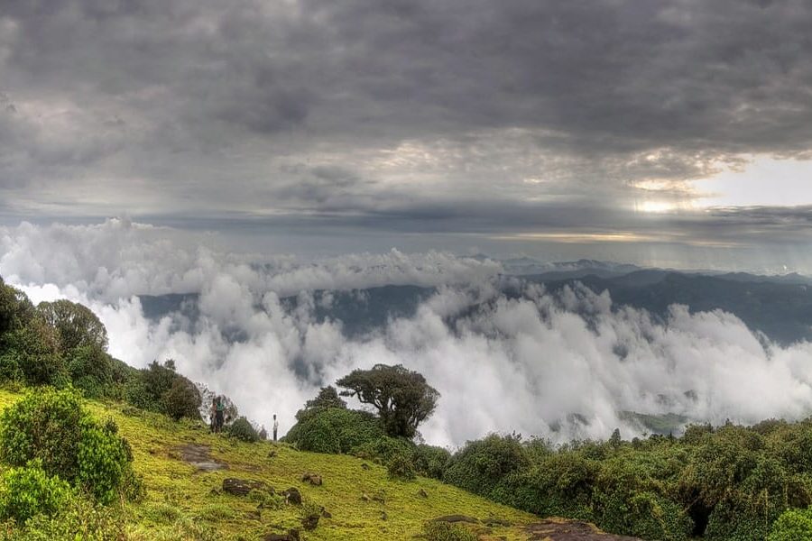 Shakleshpur Digital Detox Trip for Professionals only