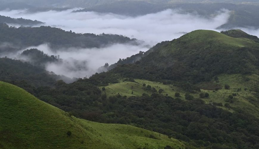 Everything You Need to Know About Ooty Climate In October