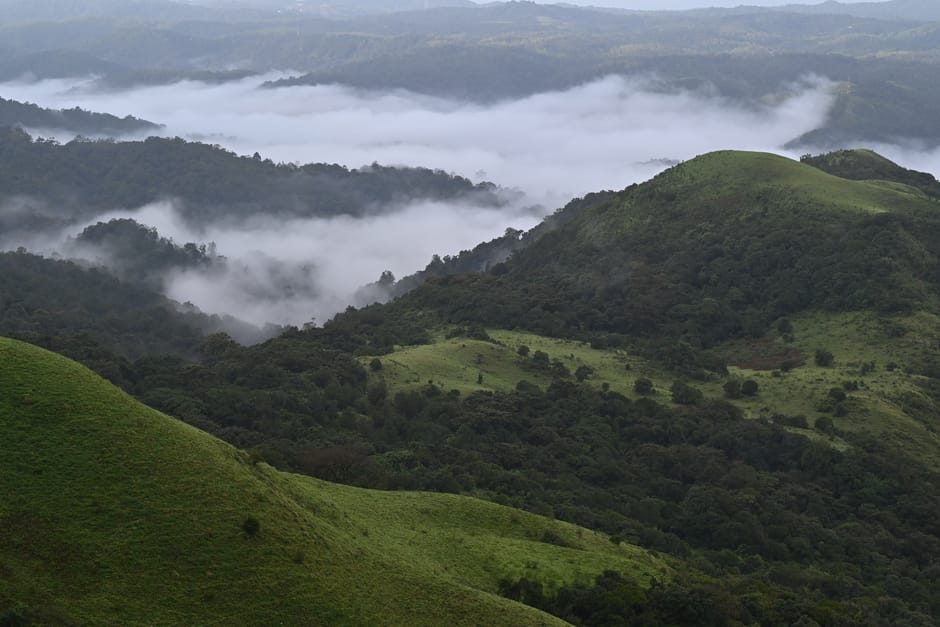 Everything You Need to Know About Ooty Climate In October
