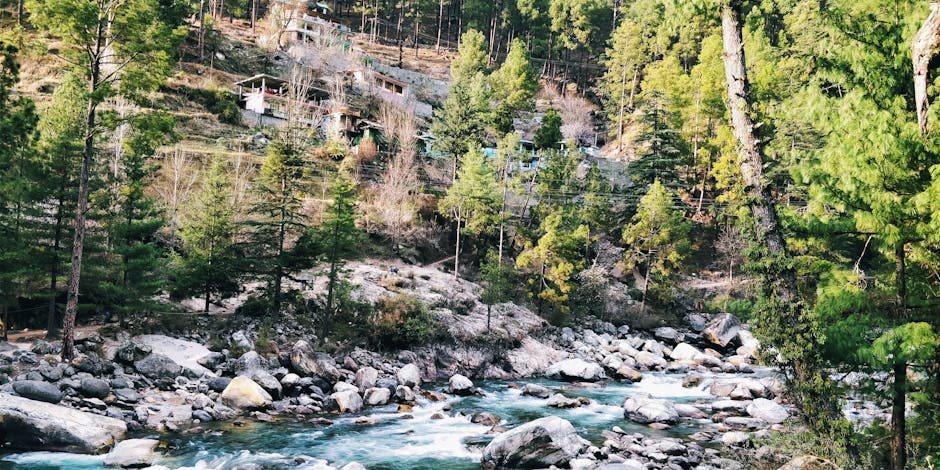 Everything You Need to Know About Parvati Valley Kasol