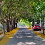 Bangalore To Ooty Package By Car Travel Guide: Budget, Stay & Itinerary