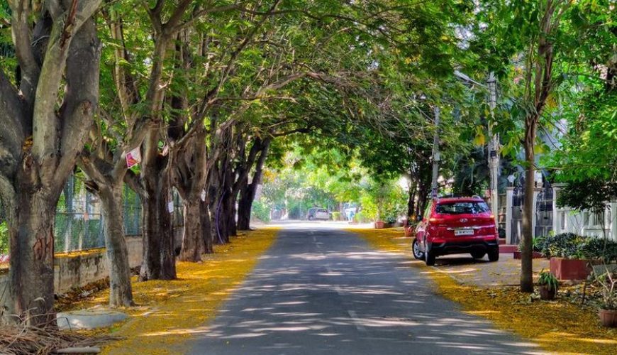 Bangalore To Ooty Package By Car Travel Guide: Budget, Stay & Itinerary