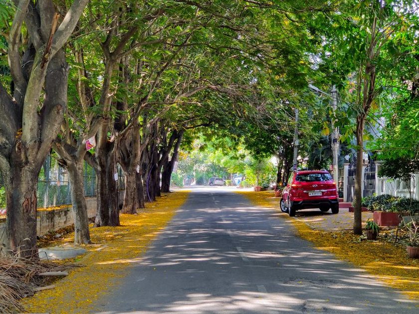 Bangalore To Ooty Package By Car Travel Guide: Budget, Stay & Itinerary