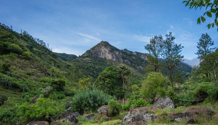 Best Time, Route & Budget for Best Time To Visit Kolukkumalai