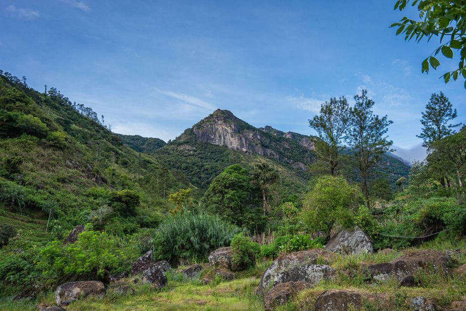 Best Time, Route & Budget for Best Time To Visit Kolukkumalai