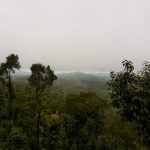 Best Time, Route & Budget for Coorg Two Days Package