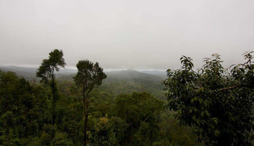 Best Time, Route & Budget for Coorg Two Days Package