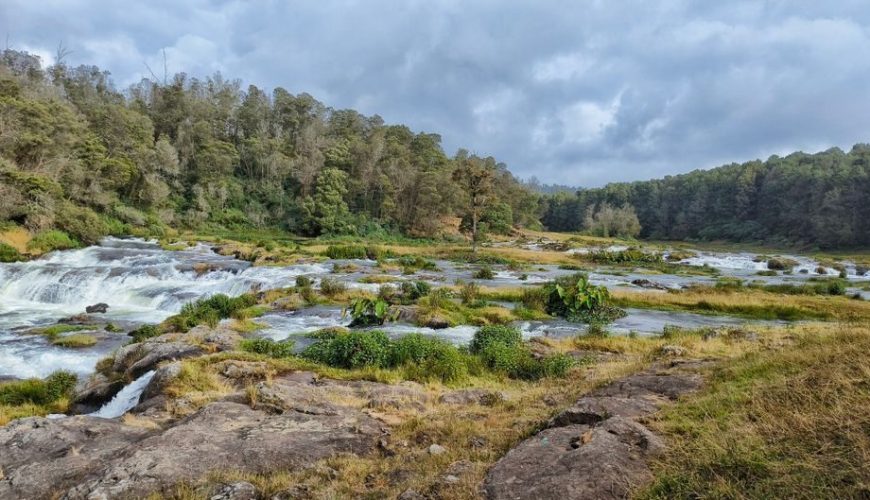 Top Things to Know Before Visiting Coorg Wayanad Ooty Tour Package
