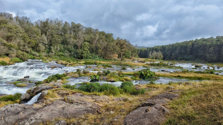 Top Things to Know Before Visiting Coorg Wayanad Ooty Tour Package