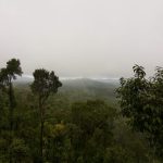 Flora And Fauna Of Coorg Travel Guide: Budget, Stay & Itinerary