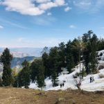 Kufri Travel Packages Travel Guide: Budget, Stay & Itinerary