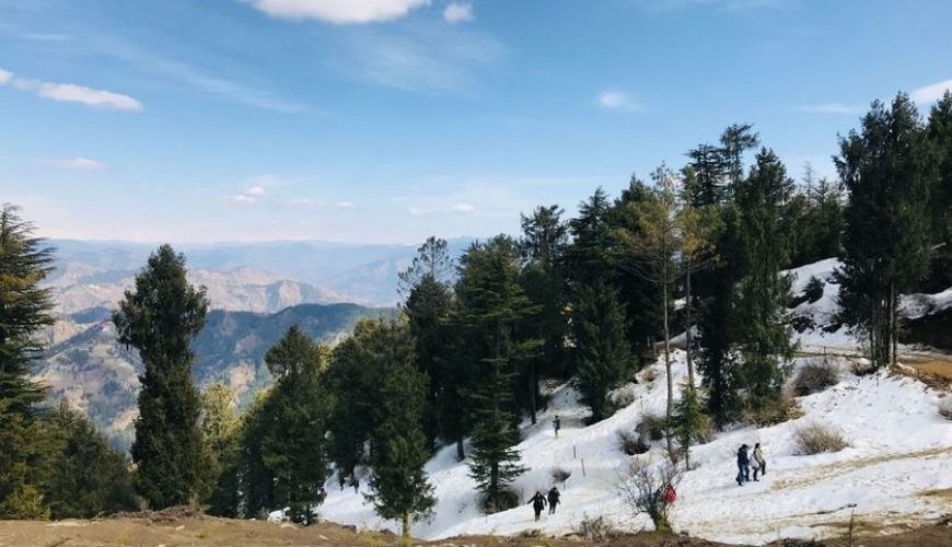 Kufri Travel Packages Travel Guide: Budget, Stay & Itinerary