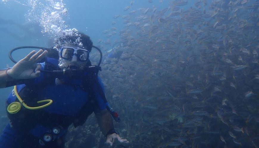 How to Plan a Perfect Trip for Netrani Island Scuba Diving Best Time