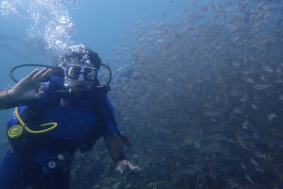 How to Plan a Perfect Trip for Netrani Island Scuba Diving Best Time