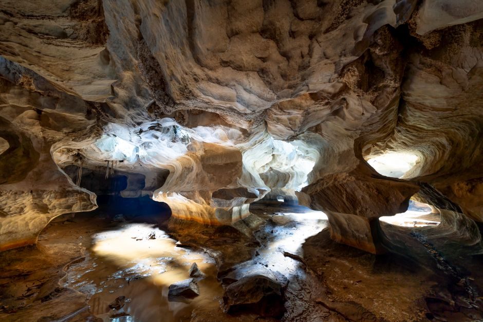 Everything You Need to Know About Edakkal Caves Opening Time