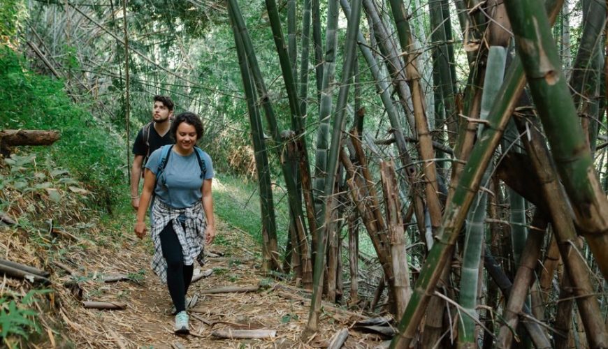 How to Plan a Perfect Trip for Mullayanagiri Trek Time