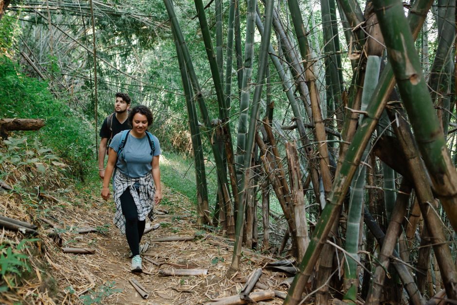 How to Plan a Perfect Trip for Mullayanagiri Trek Time