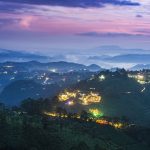 Best Time, Route & Budget for Munnar Tour Packages For 2 Days 1 Night