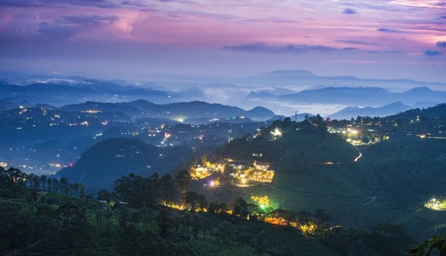 Best Time, Route & Budget for Munnar Tour Packages For 2 Days 1 Night