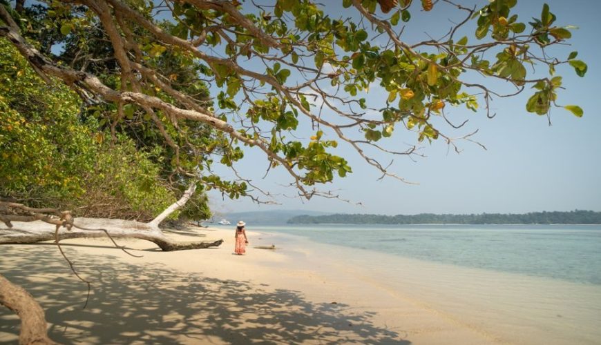 Top Things to Know Before Visiting Andaman Tourist Map