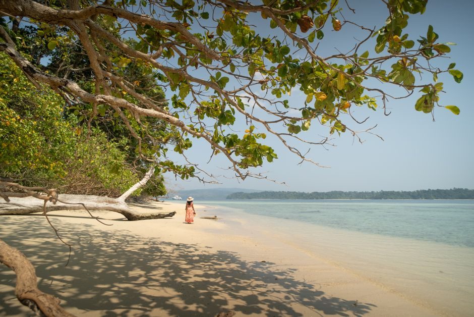 Top Things to Know Before Visiting Andaman Tourist Map