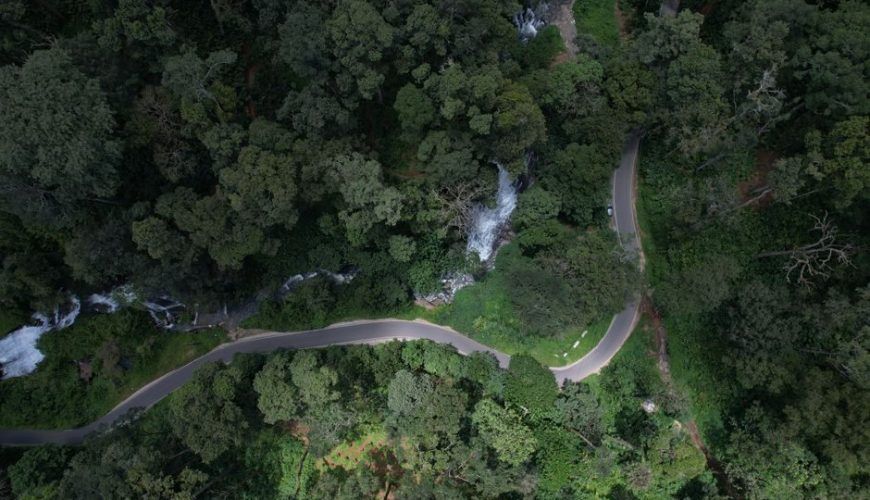 Top Things to Know Before Visiting Best Road Trips In Kerala
