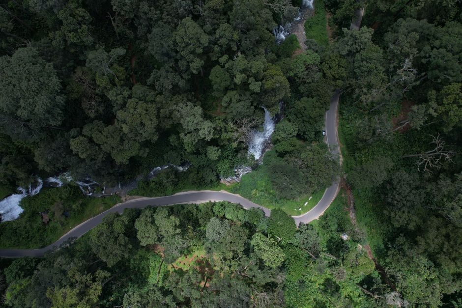 Top Things to Know Before Visiting Best Road Trips In Kerala
