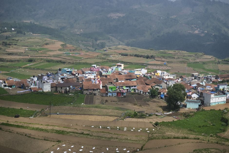 Top Things to Know Before Visiting Coorg Ooty Kodaikanal