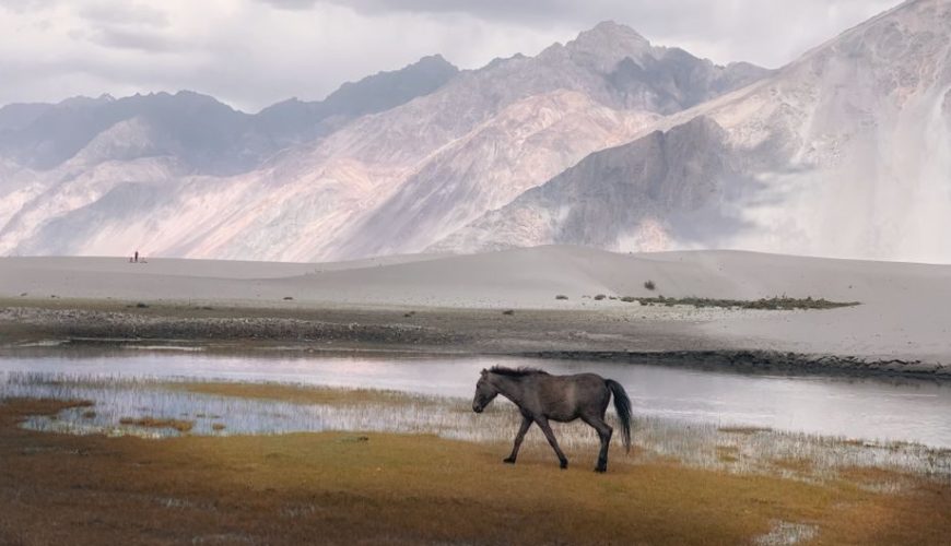How to Plan a Perfect Trip for Leh To Hunder Distance